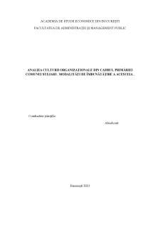 Analiza culturii organizaționale din cadrul Primăriei Comunei Stejaru. modalități de îmbunătățire a acesteia - Pagina 2