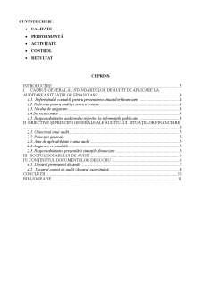 Elaborarea documentelor de lucru și întocmirea dosarului de audit financiar - Pagina 2