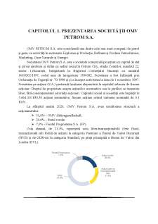 Analiza performanței și evaluarea unui proiect de investiții OMV Petrom - Pagina 4