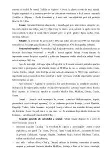 Evaluarea performanței resurselor umane în instituția prefectului - Județul Neamț - Pagina 4