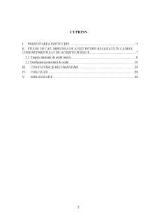 Activitate de audit public intern la Primăria Secuieni în cadrul compartimentului de achiziții publice - Pagina 2