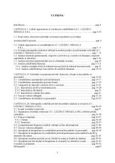 Studiu privind contabilitatea decontărilor cu personalul la SC Lăzăruc Mihaela SRL - Pagina 2