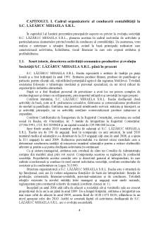 Studiu privind contabilitatea decontărilor cu personalul la SC Lăzăruc Mihaela SRL - Pagina 4