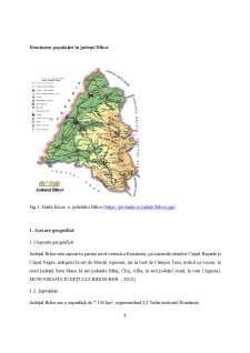 Analiza populației și a așezărilor județului Bihor - Pagina 3