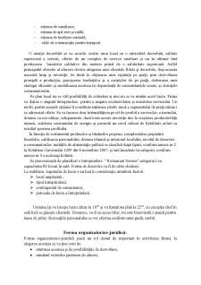 Planul de afaceri al unui restaurant cu bucătărie mexicană cu 80 locuri în orașul Chișinău - Pagina 4