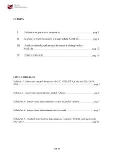 Raportul de analiză financiară al companiei Medlife - Pagina 3