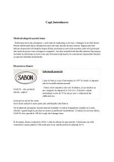 Marketingul și utilitatea internetului ca mijloc de transmitere și promovare a informatiilor în cadrul firmei Sabon - Pagina 3