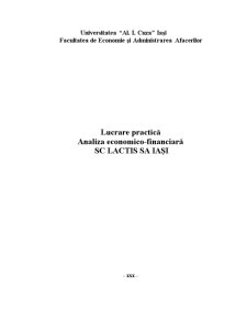 Analiza economico-financiară a SC Lactis SA - Pagina 1