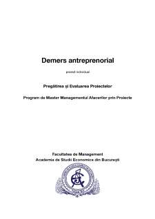 Demers antreprenorial - Domeniul consultanței IT - Pagina 1