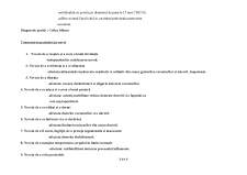 Planul de ingrijire colica biliară - Pagina 3