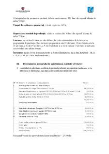 Planificare și control financiar în sisteme industriale - Pagina 5