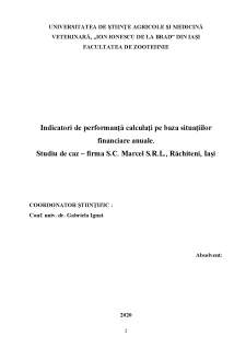 Indicatori de performanță calculați pe baza situațiilor financiare anuale. Studiu de caz - firma S.C. Marcel S.R.L., Răchiteni, Iași - Pagina 2