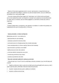 Managementul proiectelor - White Clean - Pagina 3