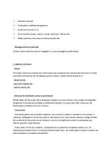 Managementul proiectelor - White Clean - Pagina 4