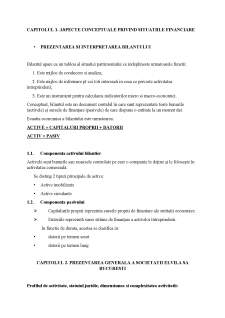 Bilanțul contabil în cadrul societății Elvila SA București - Pagina 3