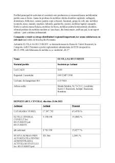Bilanțul contabil în cadrul societății Elvila SA București - Pagina 4