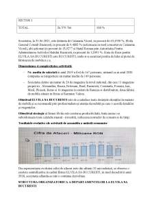 Bilanțul contabil în cadrul societății Elvila SA București - Pagina 5