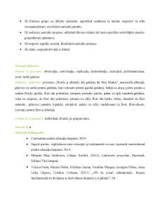 Proiect didactic integrat - Pagina 4