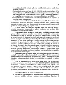 Plan de afacere SC Recunoștința Prodcom Impex SRL - Pagina 3