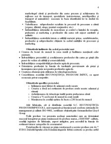 Plan de afacere SC Recunoștința Prodcom Impex SRL - Pagina 4
