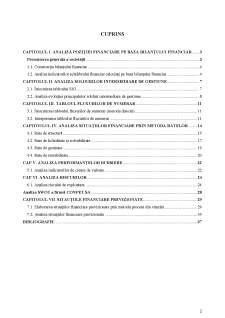 Analiza situațiilor financiare la SC CONPET SA - Pagina 2