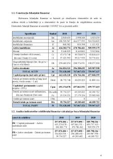 Analiza situațiilor financiare la SC CONPET SA - Pagina 4