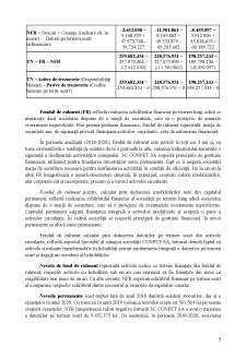 Analiza situațiilor financiare la SC CONPET SA - Pagina 5