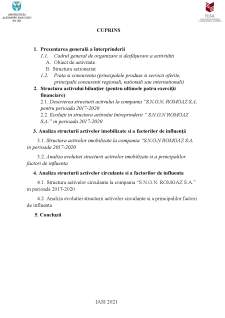 Analiza structurii activului înterprinderii S.N.G.N Romgaz SA - Pagina 2