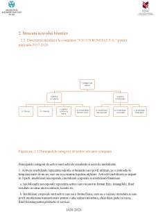 Analiza structurii activului înterprinderii S.N.G.N Romgaz SA - Pagina 4