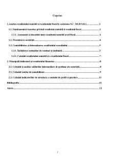 Contabilitatea rezultatului contabil și a rezultatului fiscal și principalii indicatori ai rezultatului financiar - Pagina 2