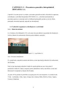 Analiza activului întreprinderii Biofarm 2018-2021 - Pagina 3