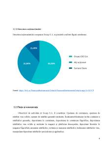 Analiza structurii activului întreprinderii SOCEP SA - Pagina 4
