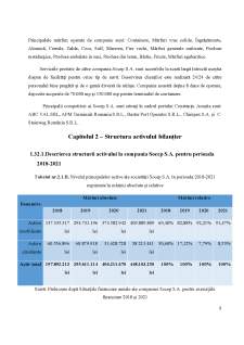 Analiza structurii activului întreprinderii SOCEP SA - Pagina 5