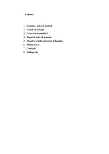 Tipuri de crize și etapele acestora - Pagina 2