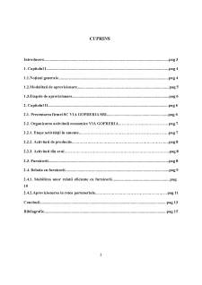 Analiza relațiilor cu furnizorii în cadrul firmei SC VIA GOFRERIA SRL - Pagina 2