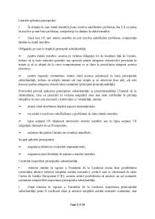 Principiile fundamentale ale Dreptului Uniunii Europene - Pagina 5