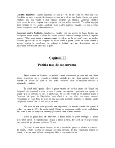 Proiect Marketing - VIStrans - Pagina 5