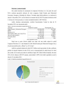 Analiza structurii activului companiei Electrica SA - Pagina 5