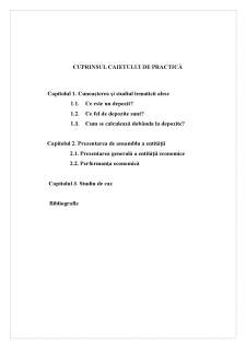 Tehnici de constituire și funcționare a depozitelor bancare - Pagina 2