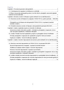 Analiza surselor de finanțare ale întreprinderii SC Cemacon SA - Pagina 3