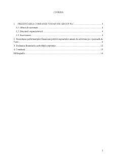 Evaluarea financiară a companiei  Vodafone Group PLC - Pagina 2