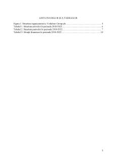 Evaluarea financiară a companiei  Vodafone Group PLC - Pagina 3