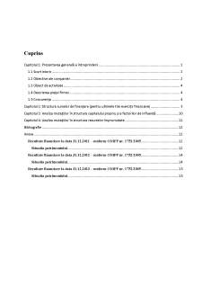 Analiza surselor de finanțare ale întreprinderii - studiu de caz Argus S.A. Constanța - Pagina 2