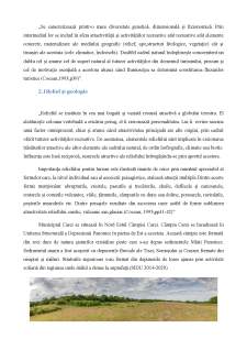 Unitatea Administrativ Teritorială Carei - Studiu de Geografia turismului - Pagina 3