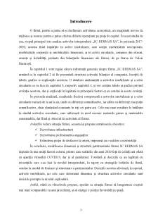 Analiza structurii activului întreprinderii SC Bermas SA - Pagina 3