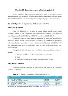 Analiza structurii activului întreprinderii SC Bermas SA - Pagina 4
