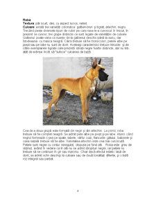 Dog German - Deutsche Dogge - Great Dane - Mastiff German - Pagina 4