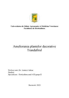 Ameliorarea plantelor decorative - Trandafirul - Pagina 1