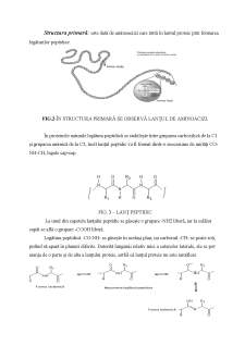 Chimia Alimentelor - Denaturarea proteinelor - Pagina 3
