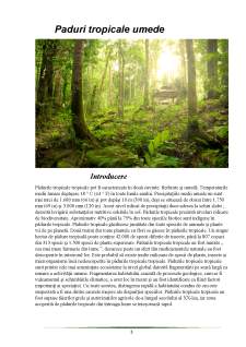 Pădurile topicale umede - Pagina 3